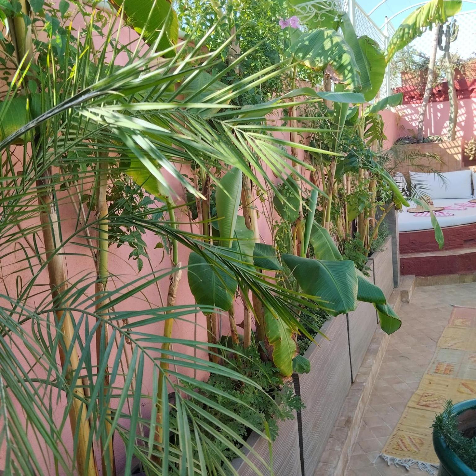 Riad Laith (Adults Only) Marrákes Kültér fotó