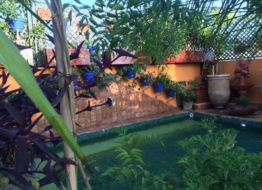 Riad Laith (Adults Only) Marrákes Kültér fotó